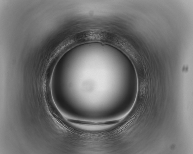 X0000096150722200801251104