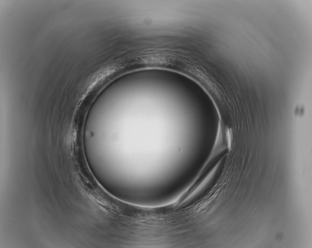 X0000096150723200801251104