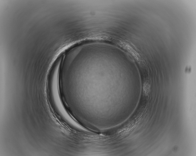 X0000096150724200801251104