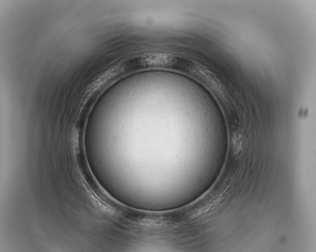 X0000096150725200801251104