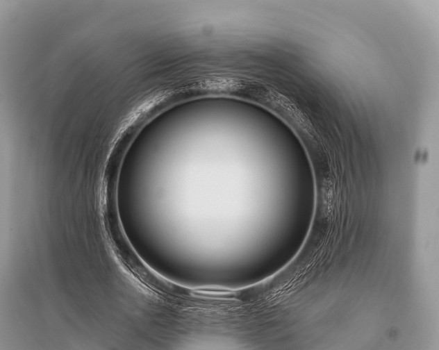 X0000096150726200801251104