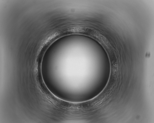 X0000096150727200801251104
