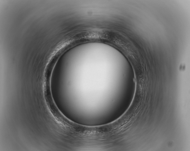 X0000096150728200801251104