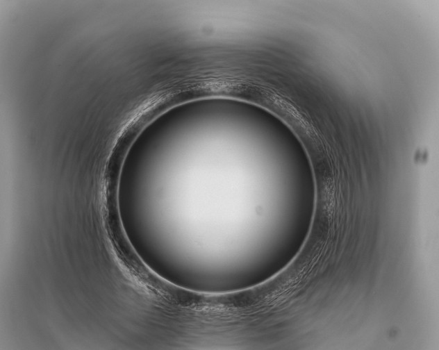 X0000096150730200801251104