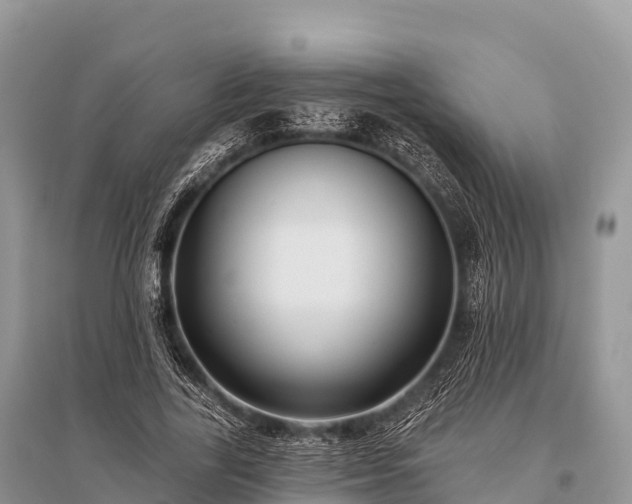 X0000096150731200801251104