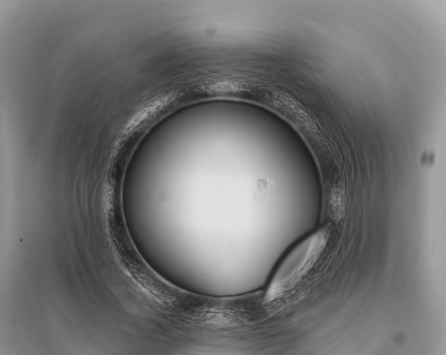X0000096150732200801251104