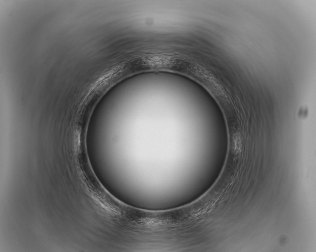 X0000096150733200801251104