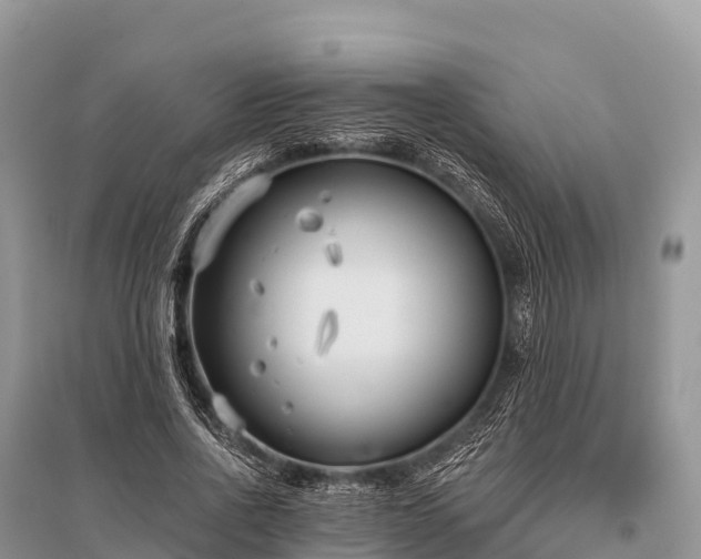 X0000096150734200801251104