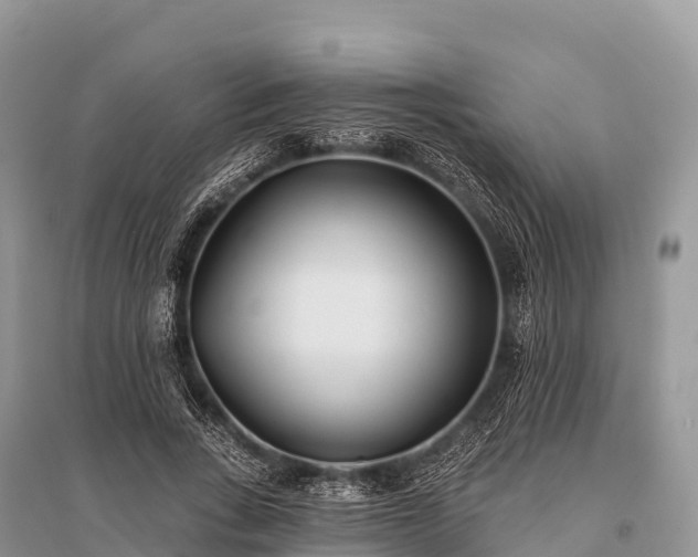 X0000096150735200801251104