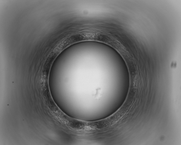X0000096150737200801251104