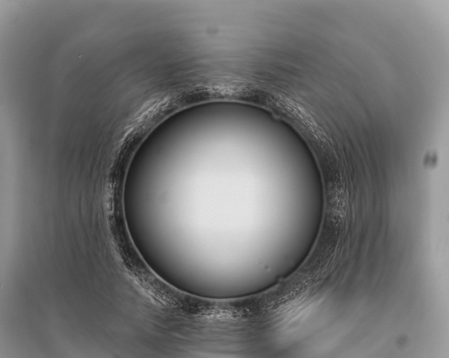 X0000096150738200801251104