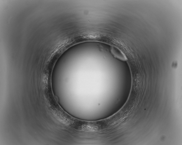 X0000096150739200801251104