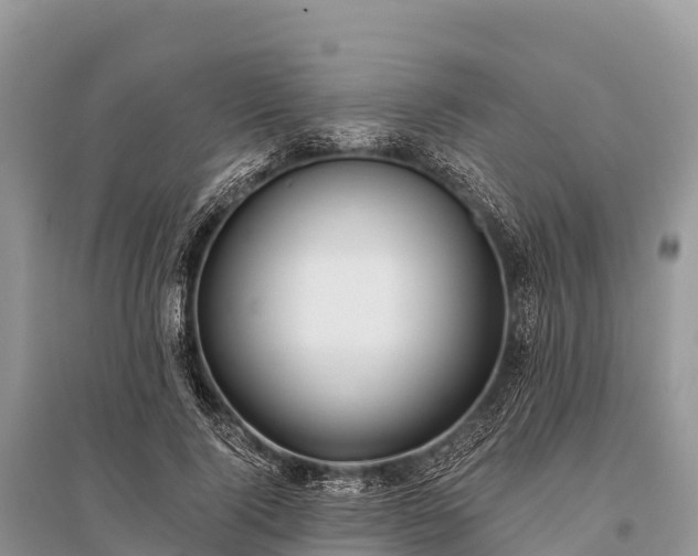 X0000096150740200801251104