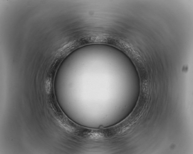 X0000096150741200801251104