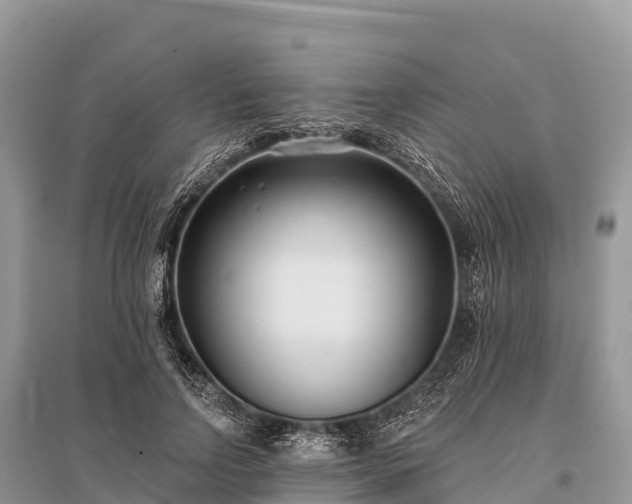 X0000096150742200801251104