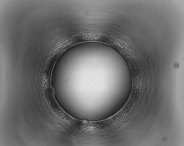X0000096150743200801251104