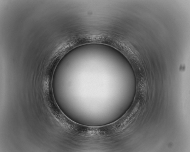 X0000096150744200801251104
