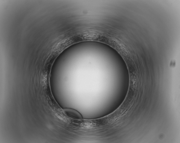 X0000096150745200801251104