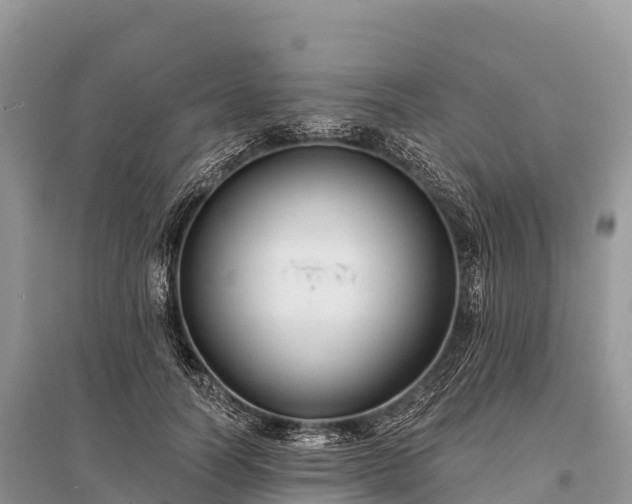 X0000096150746200801251104
