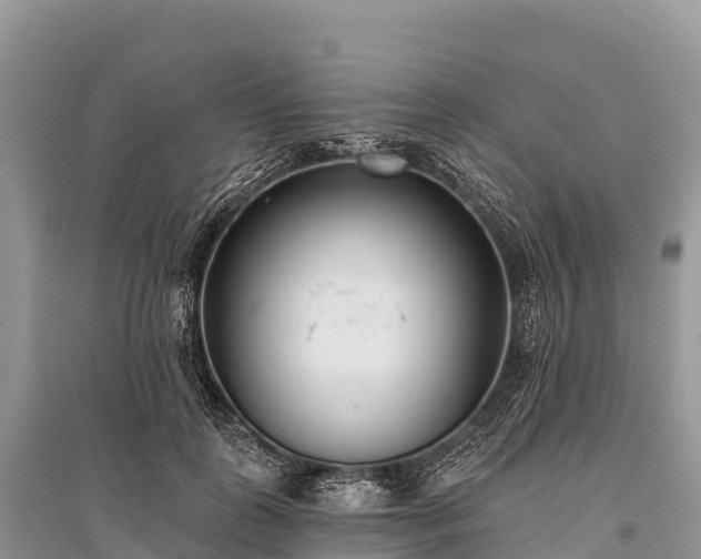 X0000096150747200801251104