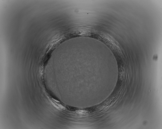 X0000096150748200801251104