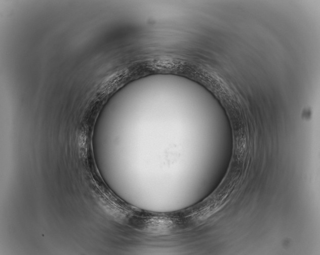 X0000096150749200801251104