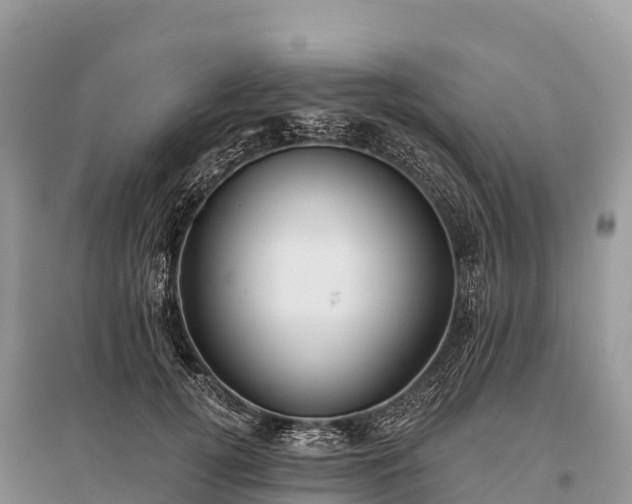 X0000096150752200801251104