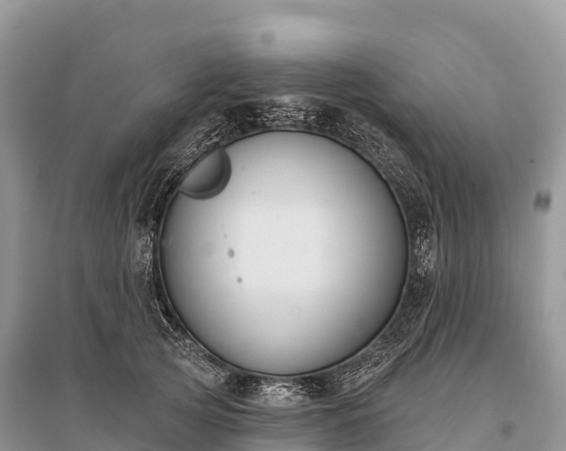 X0000096150753200801251104