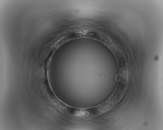 X0000096150754200801251104
