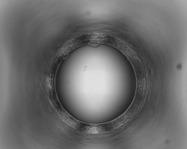 X0000096150755200801251104