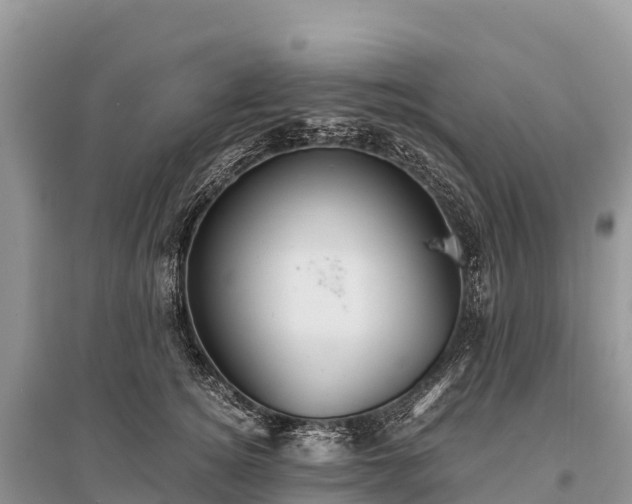 X0000096150756200801251104