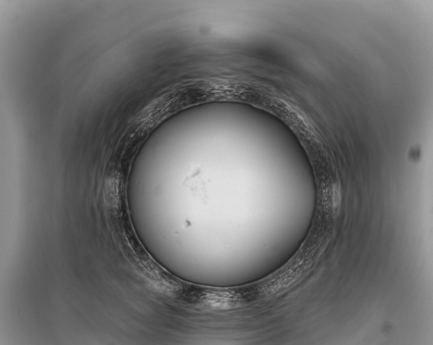 X0000096150757200801251104