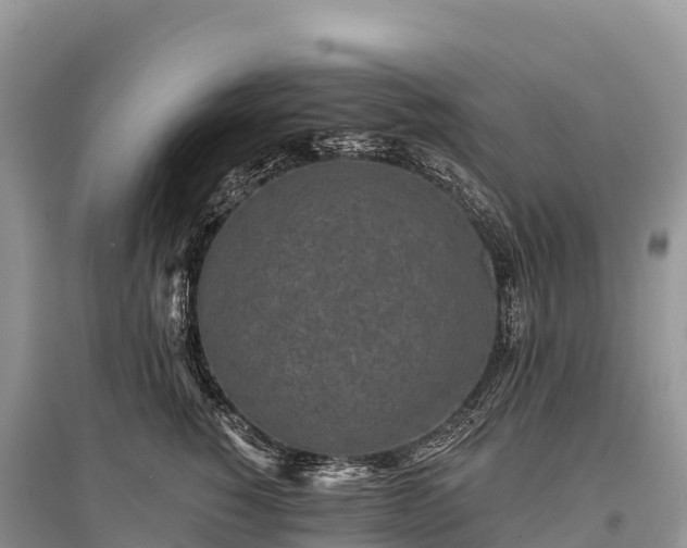 X0000096150760200801251104
