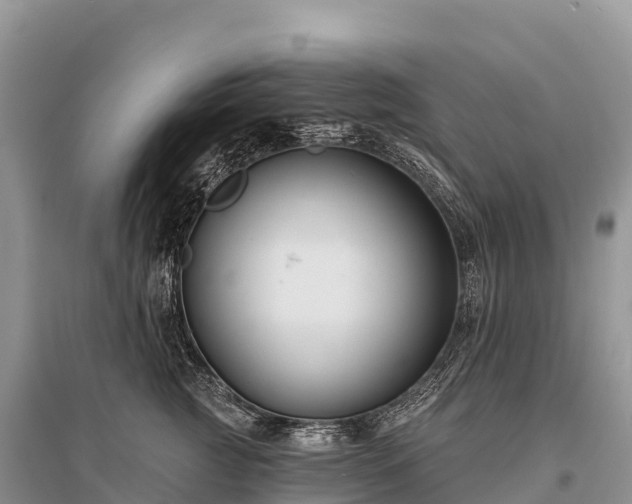 X0000096150761200801251104