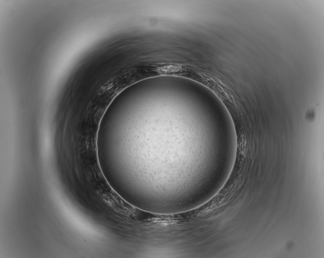 X0000096150763200801251104