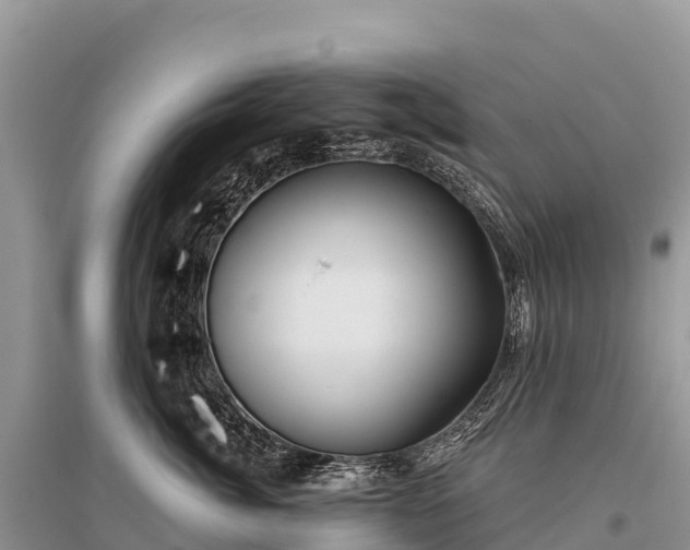 X0000096150764200801251104