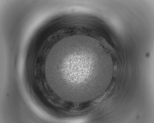 X0000096150765200801251104