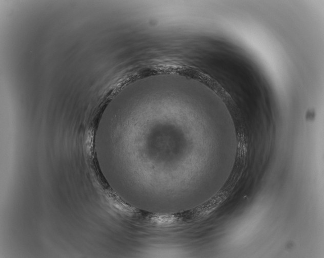 X0000096150767200801251104