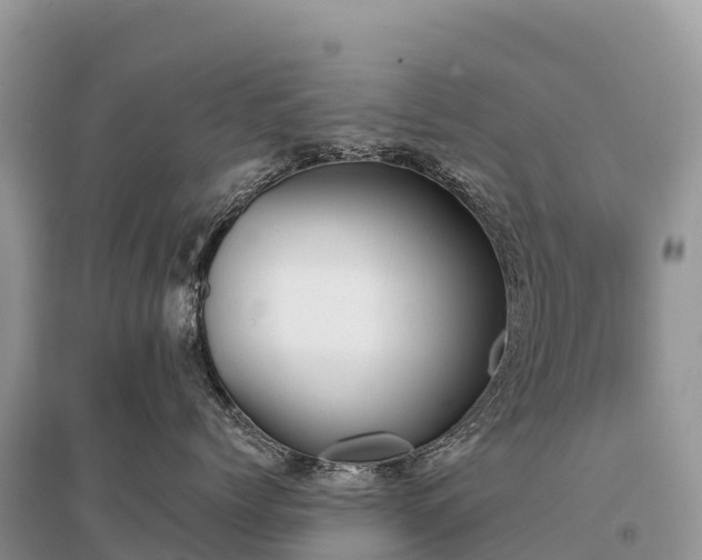 X0000096150768200801251104