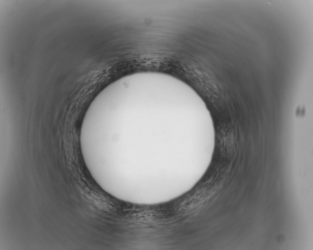 X0000096150769200801251103