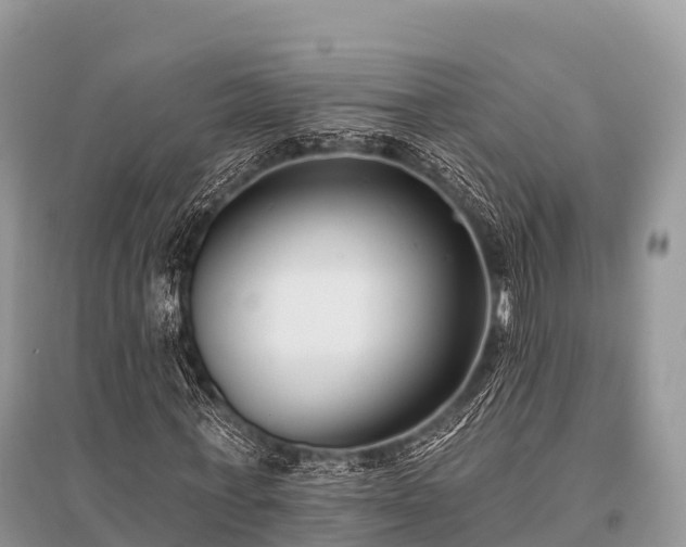 X0000096150771200801251103
