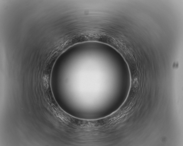 X0000096150772200801251103