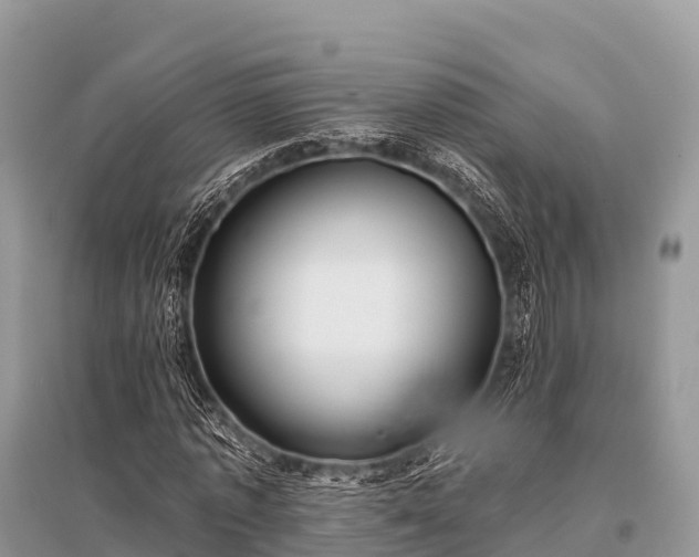 X0000096150773200801251103