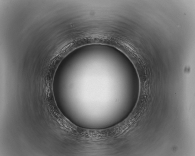 X0000096150774200801251103