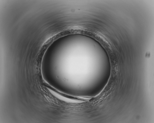 X0000096150775200801251103