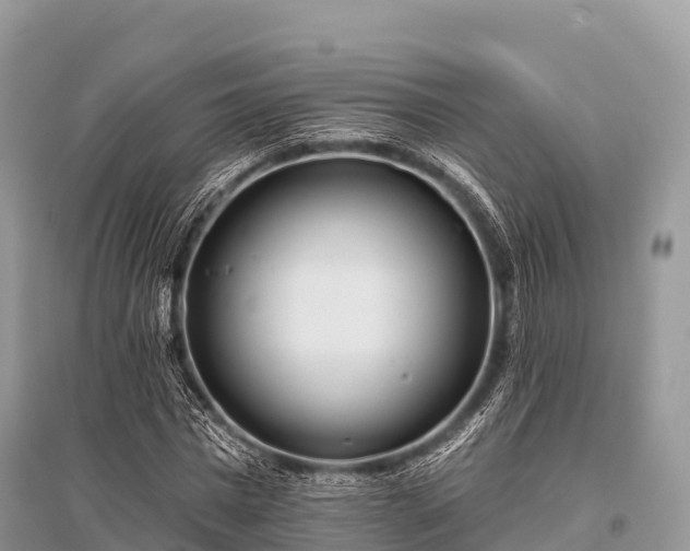 X0000096150777200801251103