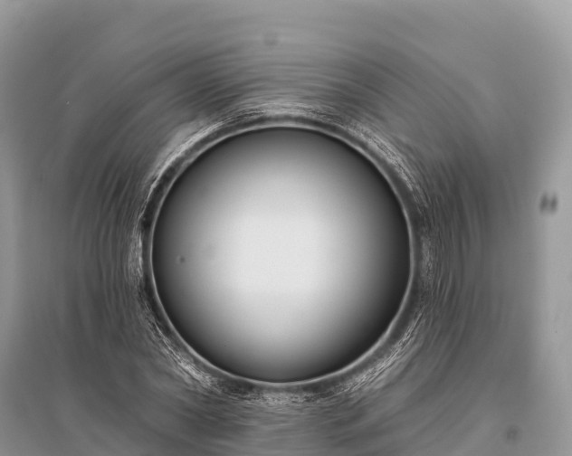 X0000096150782200801251103