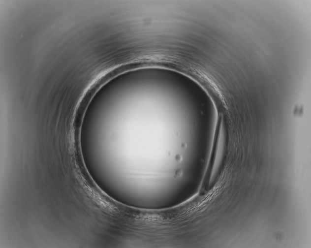 X0000096150784200801251103