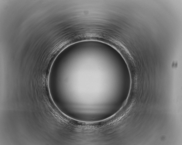 X0000096150785200801251103