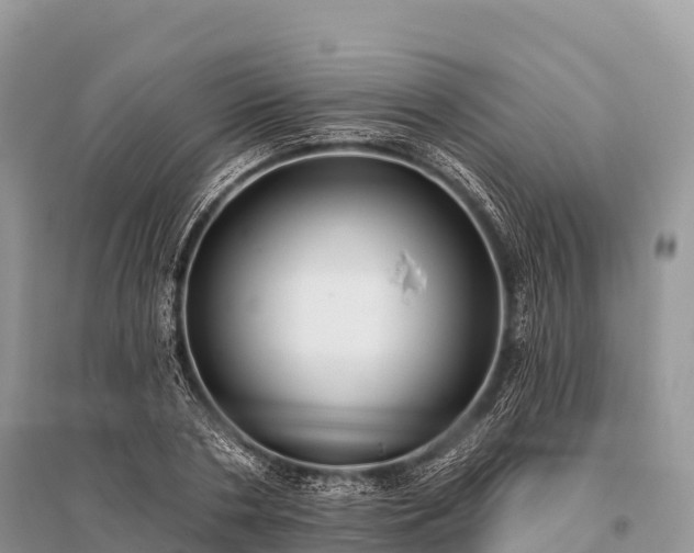 X0000096150786200801251103